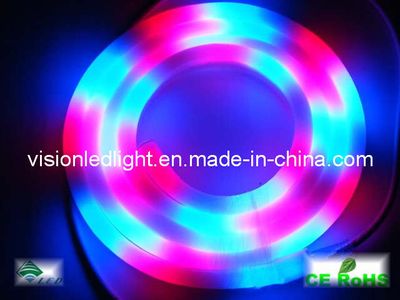 LED Neon Tube Light (NT-216RGB)