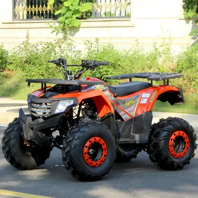 Four Wheel ATV for Kids 125cc Quad Bike Petrol Buggy