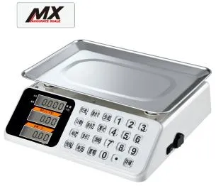 Counting Balance Electronic Computing Price Weighing Scale