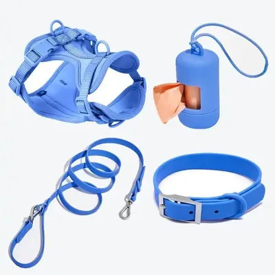 Customized Design Dog Collar and Bowtie