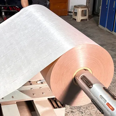 Superior Mechanical Performance 6650 Nhn Aramid Paper for Motor Insulation & Transformer Separator