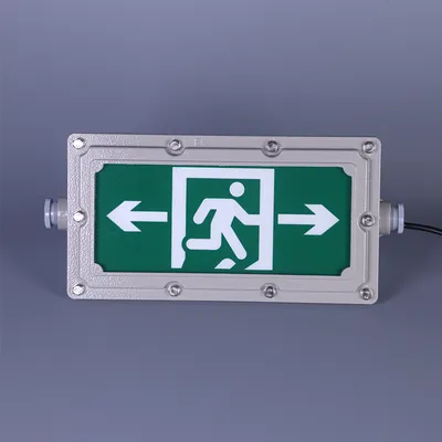 3W IP66 Explosion-Proof Grade Exdiibt6GB 85-265V Wall Hanging Single-Sided Fire Safety Exit Sign Light