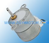 Stepper Gear Motor