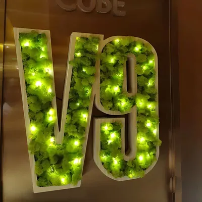 Facelit Green Moss Letters Sign Outdoor LED Letters
