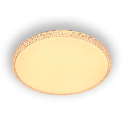 Langde Tuya Bedroom Lights Acrylic Dimmable Control Lamp Smart Ceiling Light Ld1926