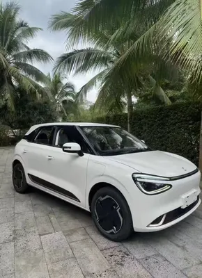 Dongfeng Nani 01 Rhd 330km Electric Electrial EV Adult Auto Cheap Price Smart Large Used Car Vehicle