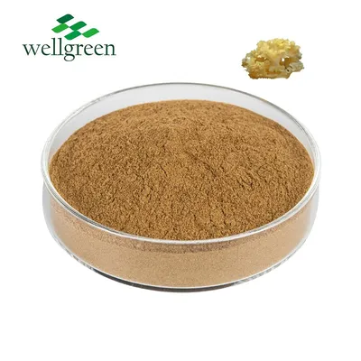 Sparassis Crispa Material 30% Sparassis Crispa Mushroom Extract Powder Sparassis Crispa Extract