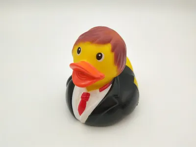 Plastic Floating Black Rubber Duck
