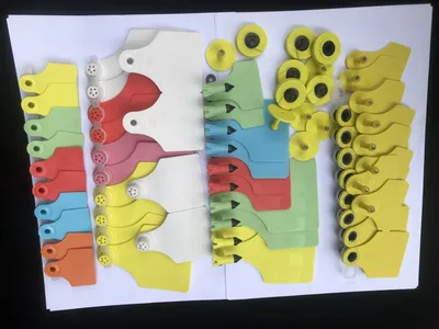 Different Sizes Different Colour TPU Animal Livestock Identification Ear Tags