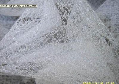 Bridal Veil 1