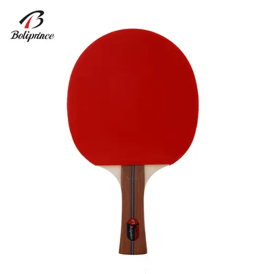 Professional Table Tennis Bat for Sale