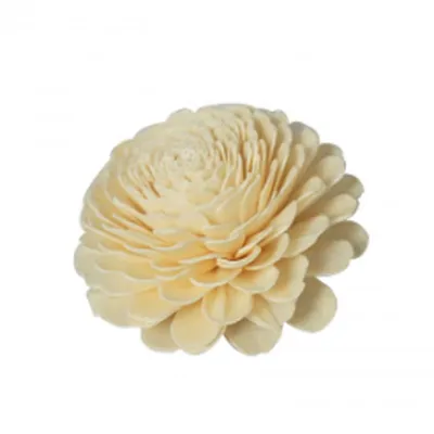 8cm Sola Wood Flowers