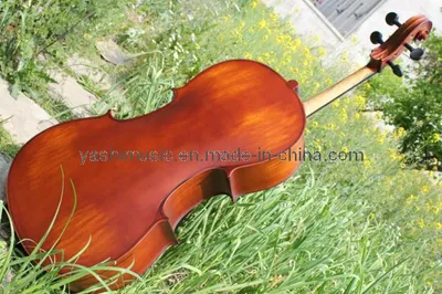 Student Cello (YSC003)