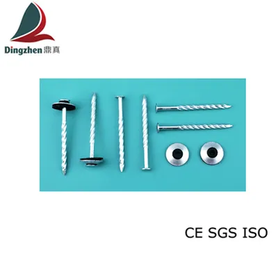 Metal Roofing Nails with High Quality (Combination)