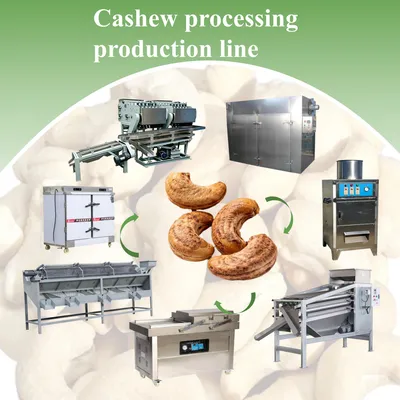 Hot Selling Cashew Nut Roasting Machine Cashew Nut Peeling Machinecashew Processing Production Line