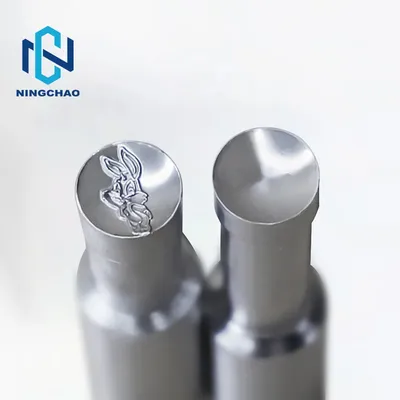 Customized Design Powder Pill Punch Press Irregular Shaped Die for Tdp Tablet Press