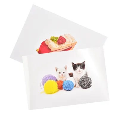 New Hot Sale A4 Sheet Pet Sticker Paper Non-Waterproof Vinyl Printable Sticker Labels 100% Transparent Clear Adhesive Vinyl Inkjet Sticker Colorworks