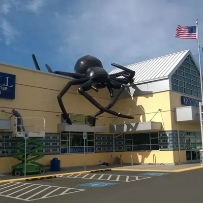 Advertising Inflatable Giant Black Spider Character with Free Blower