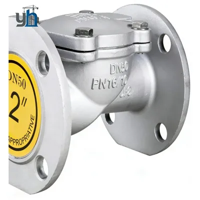 Wholesale Unidirectional Flow Robust Cast Iron Stainless Steel Wafer Ball Check Valve for Cryogenic Storage