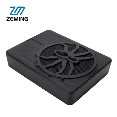 10 Inch Loudspeaker 300W Car Speaker Active Subwoofer Car Under Seat Slim Subwoofer Super Bass Car Amplifier Big Power Blu Tooth