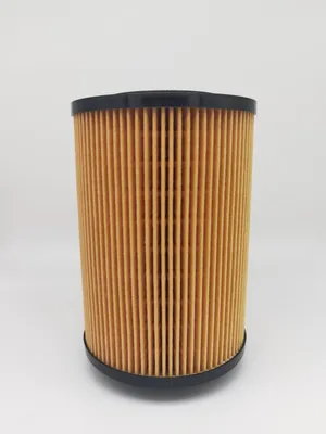 D17-002-900 Environmental Filter for Volvo/Auman/Man/Steyr/HOWO/Dfm