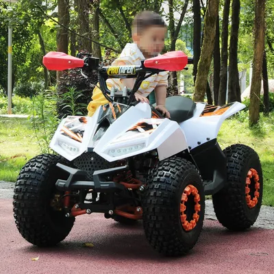 Petrol Quad Bike 125cc ATV for Kids Four Wheel CVT Buggy