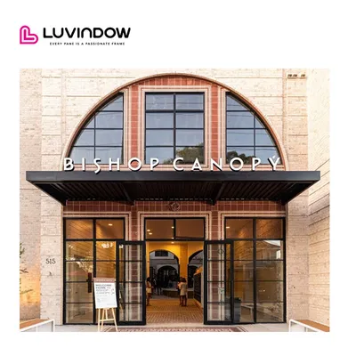 Hot Sale Airproof Insect-Proof with Arc Doors Front Showroom Glass Door 110s