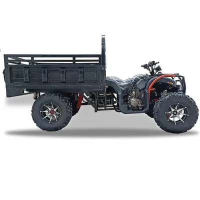 Big ATV 4X4 Quad ATV off Road Buggy 250cc 300cc 350cc ATV with Trailer