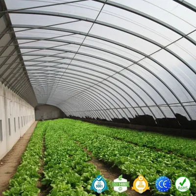 Premium Double Layer Greenhouse for Winter Crop Protection