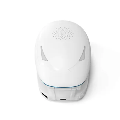 2022 Factory Directly Supply LED Speaker with Snake Design and Powerbank Function