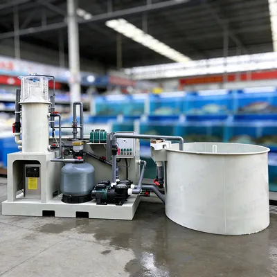 Integrated Live Fish Holding System Crab Fattening Setup Koi Pond Filtration