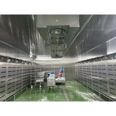 Corrosion Resistant Low-Temperature High-Humidity Frozen Food Thawing Machine for Seafood Processing Plant