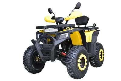 200cc 4 Stroke Gas Powered Kids Buggy ATV Quad Bike Cuatrimoto