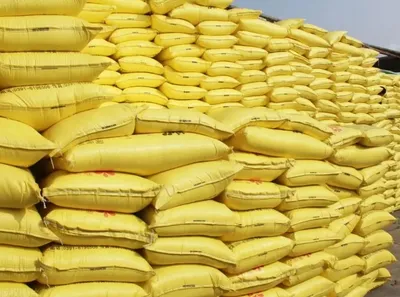 Top Quality Urea CAS 57-13-6 46% Medical Grade From Manufacture