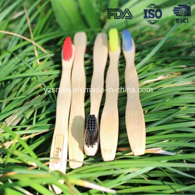 New Rainbow Color Soft Bamboo Toothbrush with Box