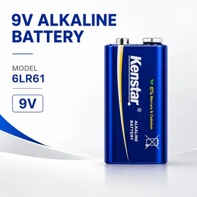 6lr61 Alkaline Battery Manufacturer Private Label Block Battery OEM