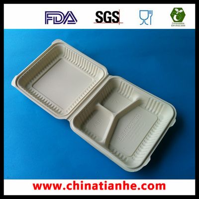 Biodegradable Three Coms Foof Container (THH-08)