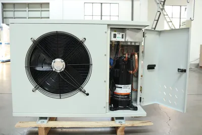 Air Cooled Box Type Condensing Unit for Vegetable Cold Storage