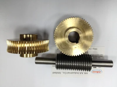 Precision Anti-Backlash Stainless Steel Worm Gear and Bronze Worms