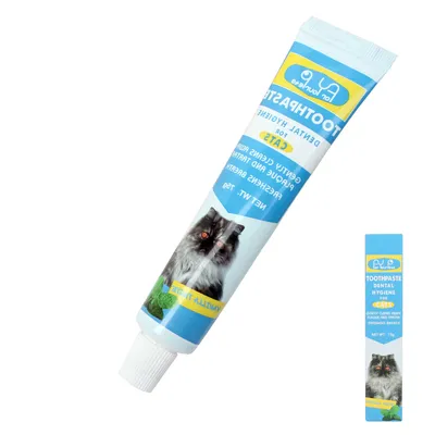 Best Selling Cat Products - Mint Toothpaste for Healthy Teeth
