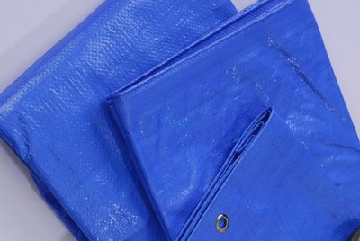 Blue Tarp