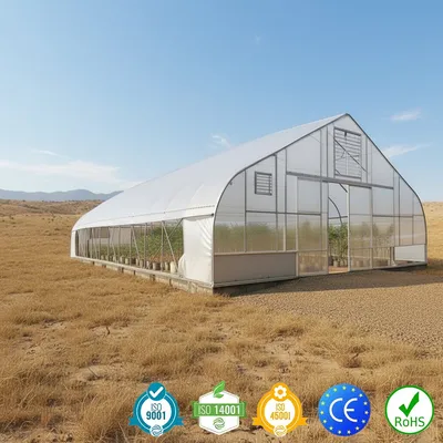 Durable Cold Greenhouse with PE Film for Optimal Plant Growth