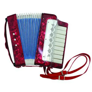 Hyer Wholesale Toy Musical Instrument Keyboard Piano Accordion