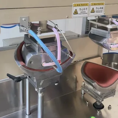 Dual-Cap Press and Ironing Machine Qp6-8 for Front Panels