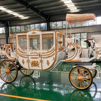 Stunning Side Beige Canopy Golden Carving Horse Carriage for Resort Sightseeing Tours