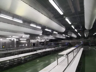 Slaughter Conveyor Belt Ztl-600 Meat Cutting Processing Transmission Line
