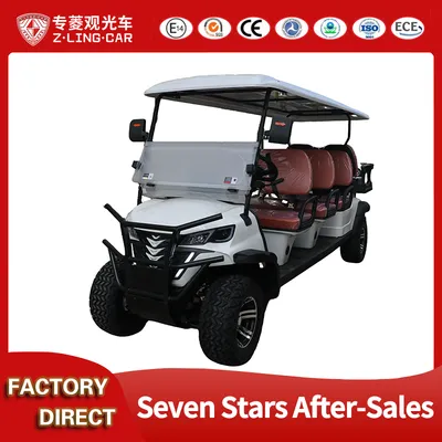 Zlingcar High Power Best Price Club Golf Cart Cart Factory Direct Sale in China