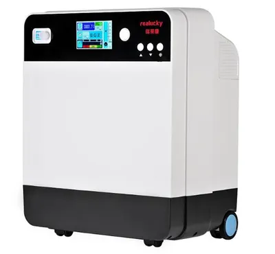 Wholesale High Quality Cheap Price 5L High Purity Electric Oxygen Home Design