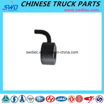 Oil Injection Nozzle for Weichai Diesel Engine Parts (612600010659)
