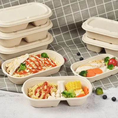 Disaposable Biodegradable Take out 1000ml Food Containers